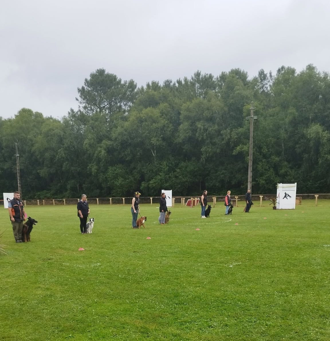 Concours d'obéissance à Garlan