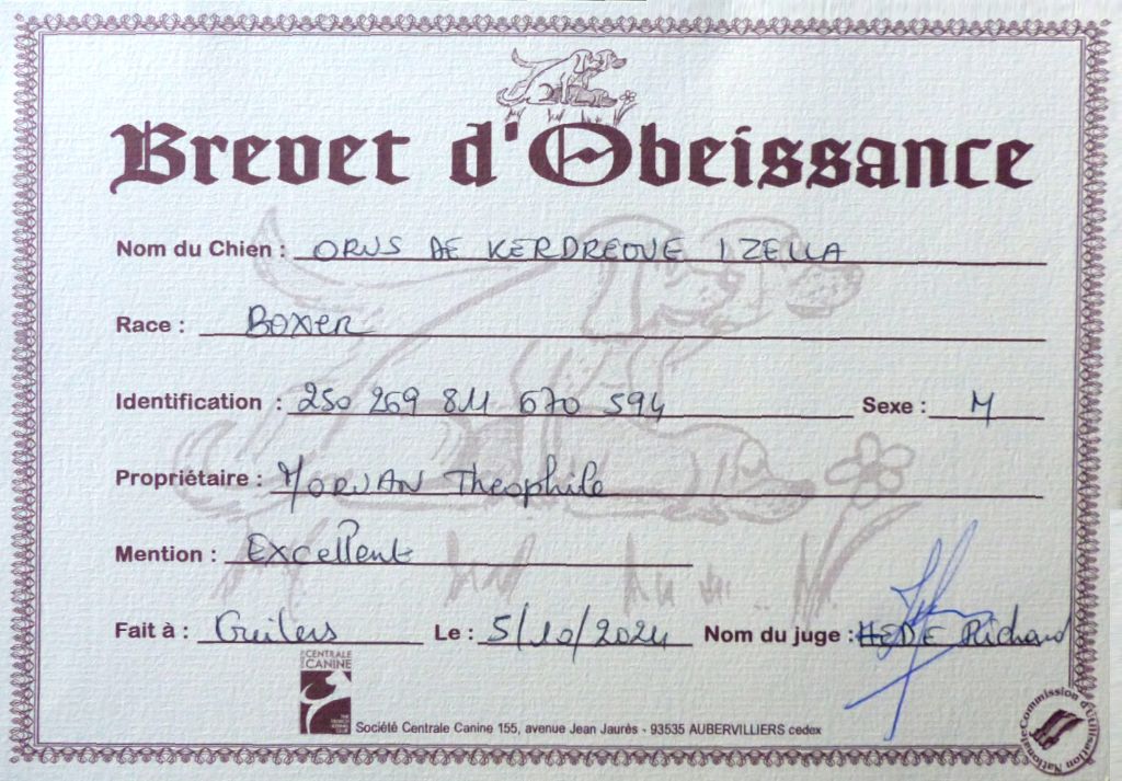 Brevet d'obéissance